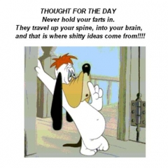 Thought for the day