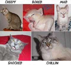 emotions
