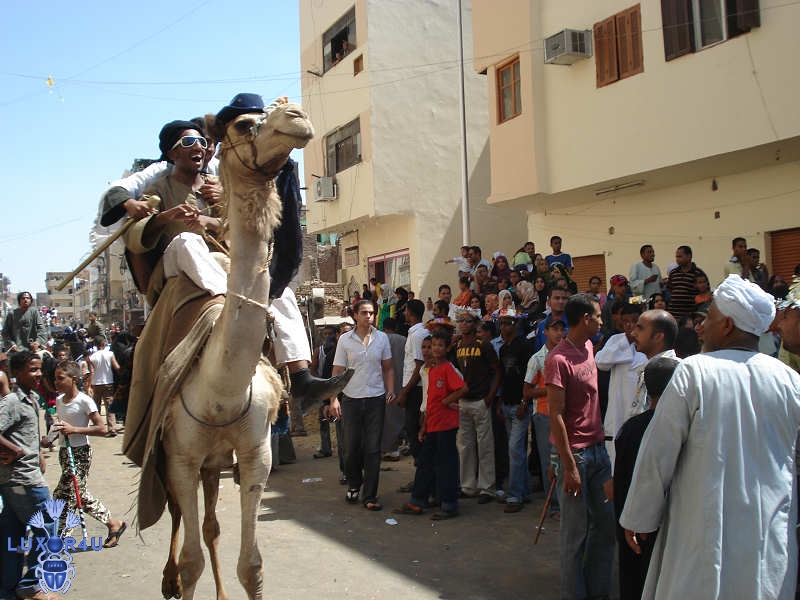Abou el Haggag 2008 - Photo 4