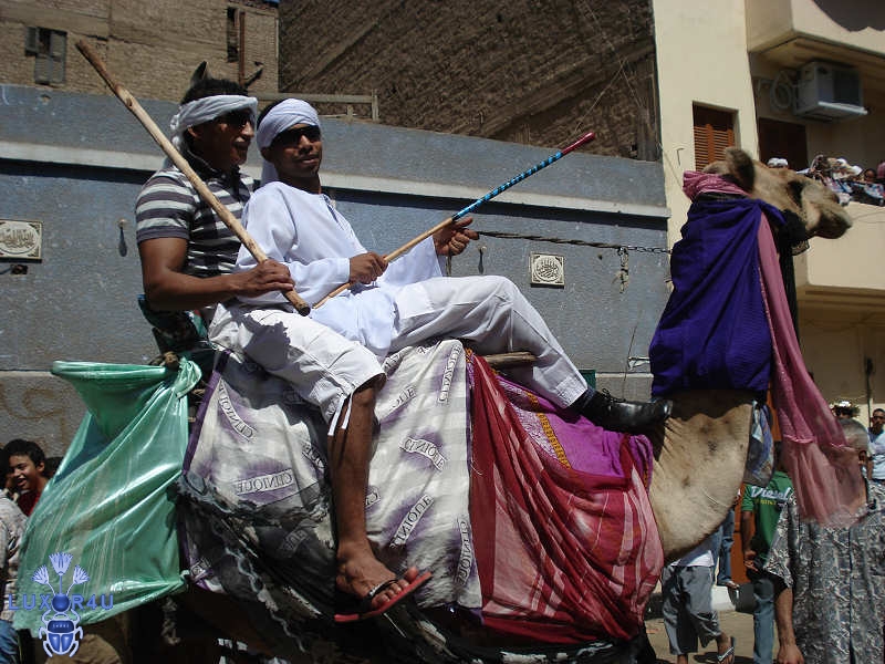 Abou el Haggag 2008 - Photo 6