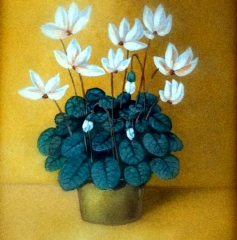 cyclamen.  Oil on wood