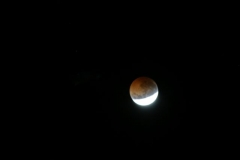 Lunar Eclipse August 2008