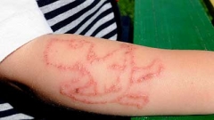 henna