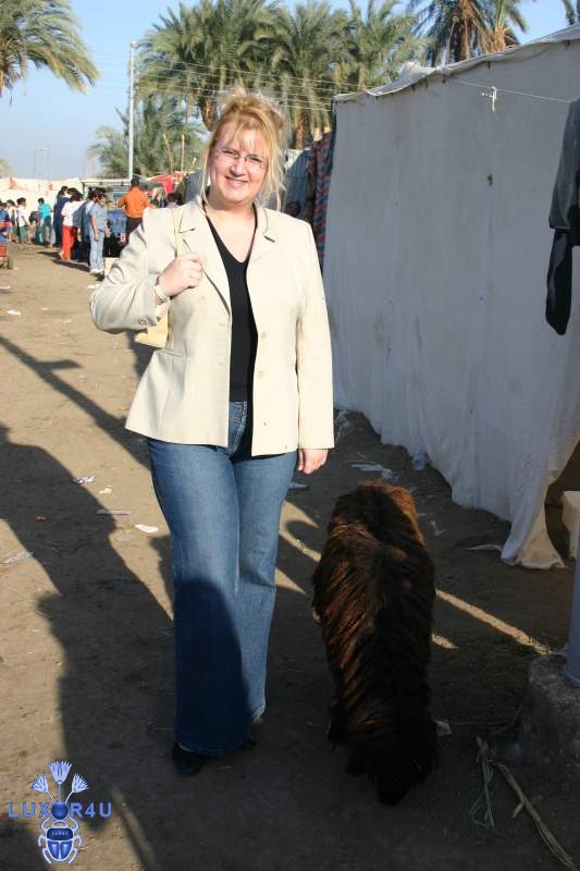 Me and a Sheep
