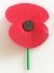 Poppy