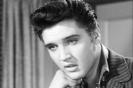 elvis