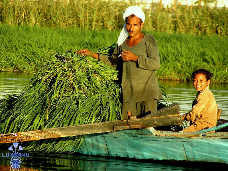 Nov 2008 - 1st - River Reeds