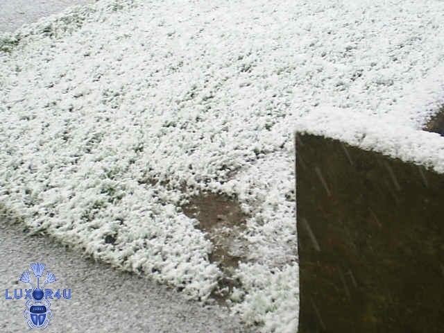 snow