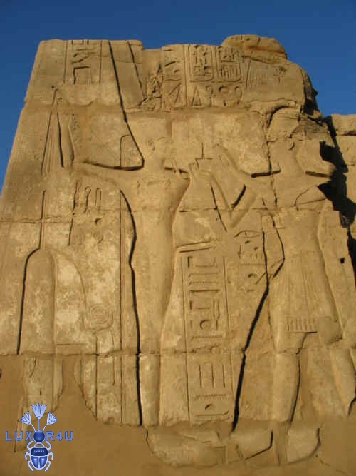 Amun's Thingy
