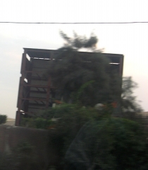 Of course its ramses in his box