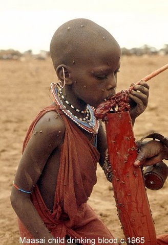 Maasai girl drinking blood