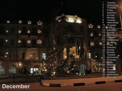 2009 calendar