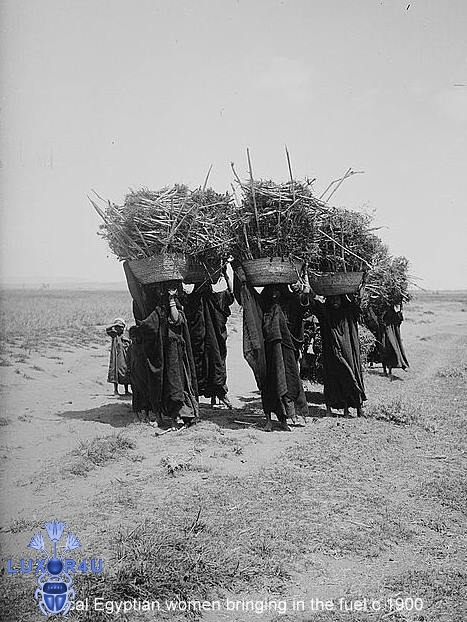 bringing in the fuel