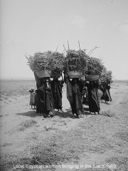 bringing in the fuel