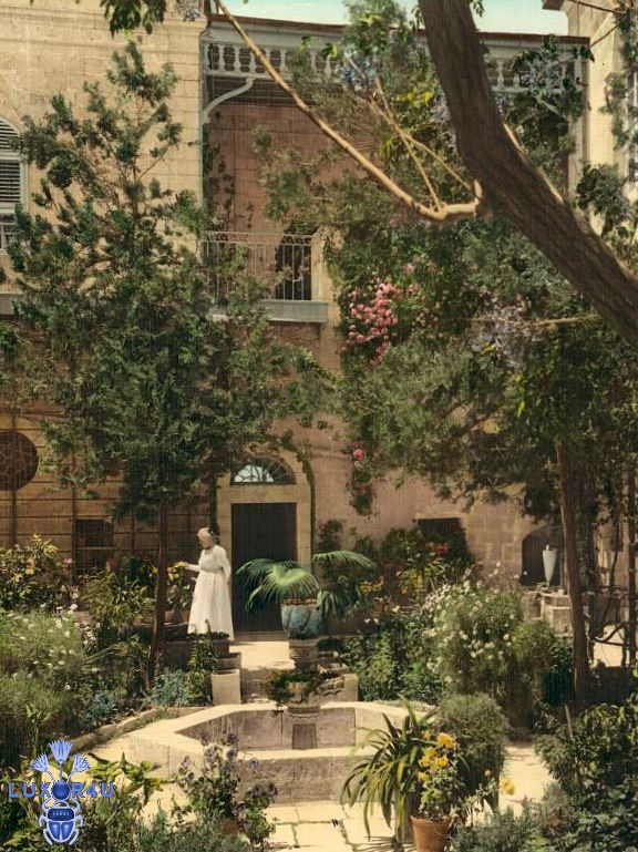 Cairo Garden