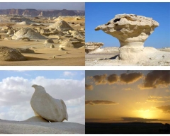 Dec 2008 - 2nd - White Desert