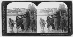 stereograph