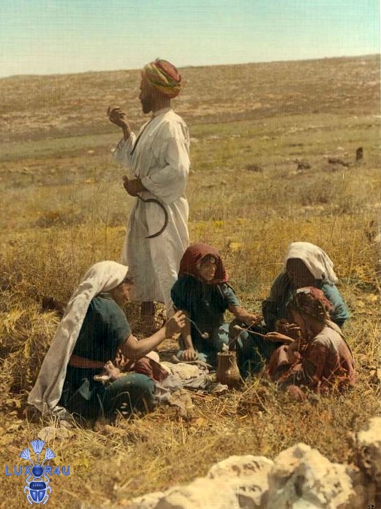 farming scene