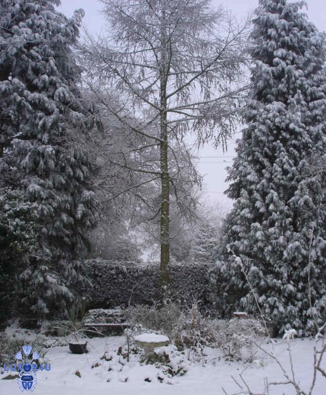 snowy days