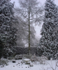 snowy days