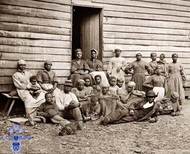 slaves