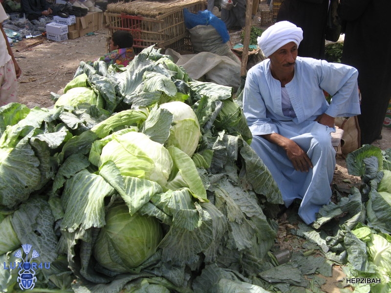 June 2009 - 1st - Cabbages and Kings