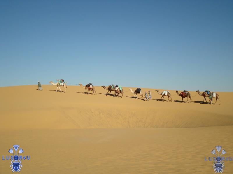 Sept 2009 - 2nd - To Libya.....