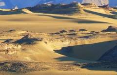 Sept 2009 - 5th - Desert in Dakhla at 7:30am