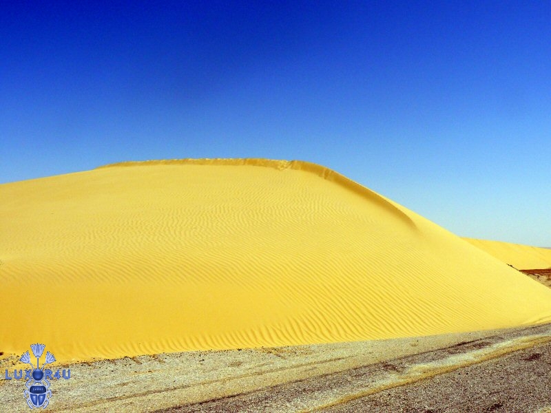 Sept 2009 - 1st - Kharga Dune
