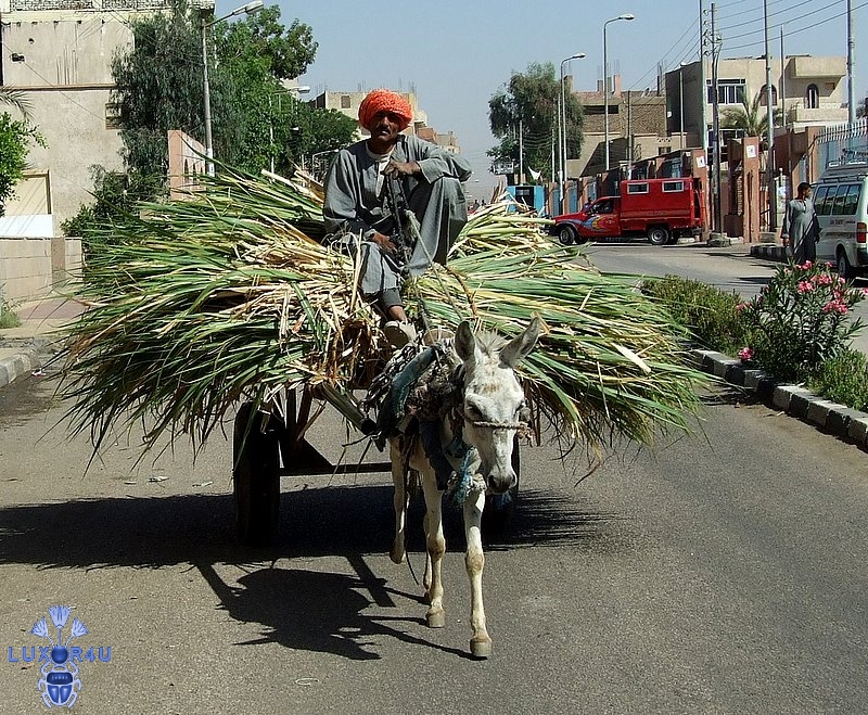 Oct 2009 - 4th - Another Heavy Load