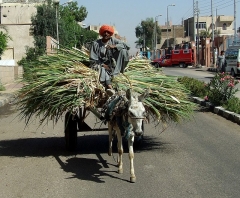 Oct 2009 - 4th - Another Heavy Load