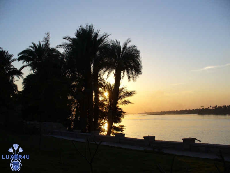 Sunset in MD's garden