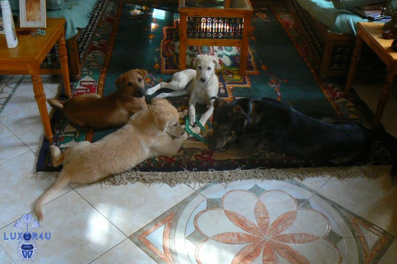 Sharing a coat hanger.....