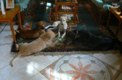 Sharing a coat hanger.....
