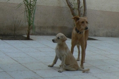Mother and daughter