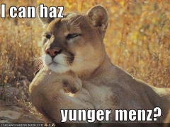 Cougar