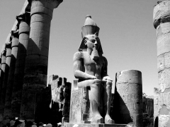 Mar 2010 - 2nd - King of Kings