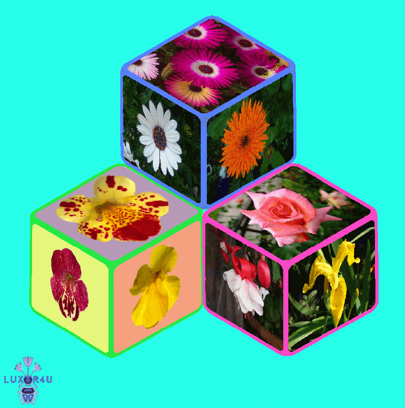 Cubes