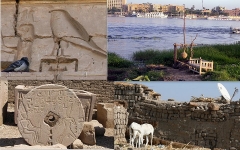 May 2010 - 3rd - New pigeon and old hieroglyphe