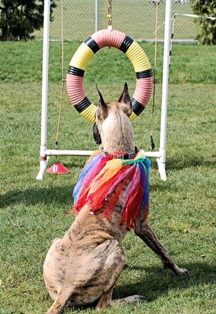 They expect me to squeeze through?