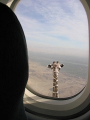 you know your flying over africa when............