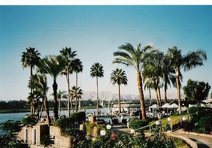 beautifull Sheraton swimmingpool