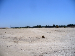 Wall after Malkata 1