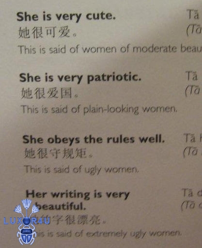 Chinese for Douchebags