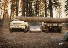 Size Matters
