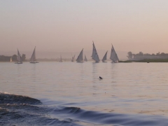 feluccas at sunset