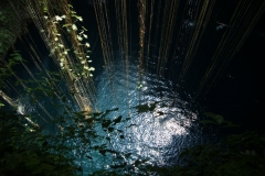 June 2011 - 1st - A Cenote, Riviera Maya, Mexico