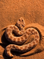 13042